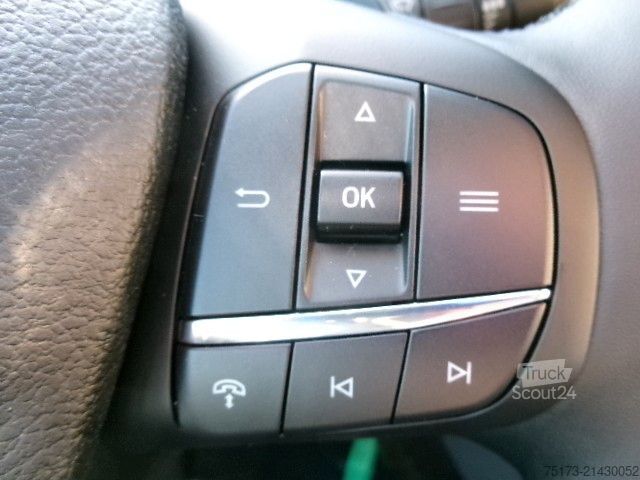 Minibüs FORD Transit Kombi Trend L3H2 Bi-Xenon AHK Stndhz Nav