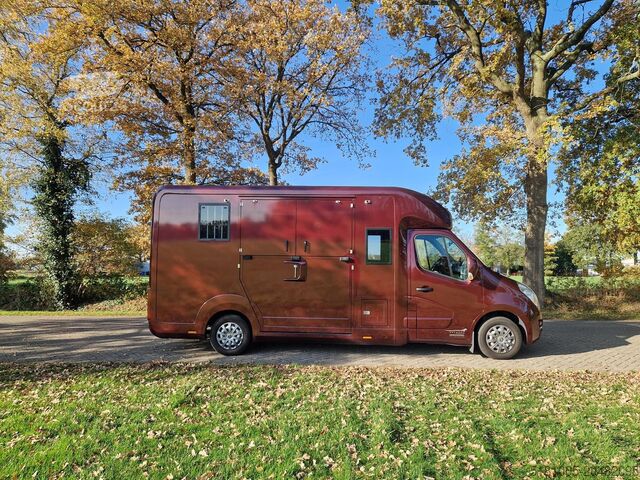 Horse transportation Opel Movano Occasion paardenwagen automaat 5 zitplaa...