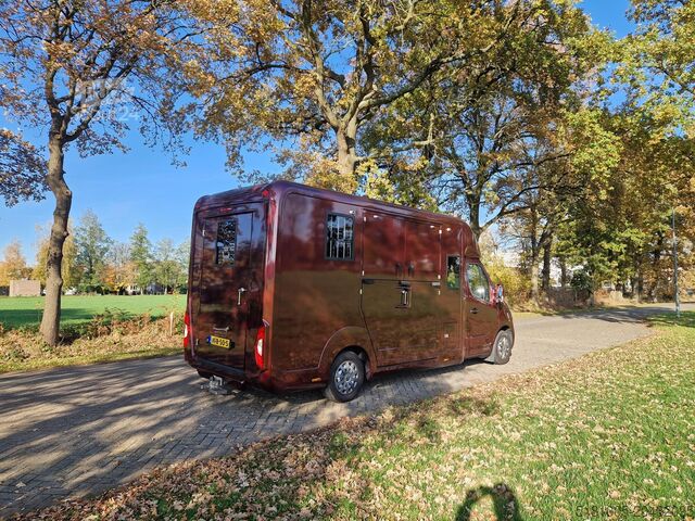Horse transportation Opel Movano Occasion paardenwagen automaat 5 zitplaa...