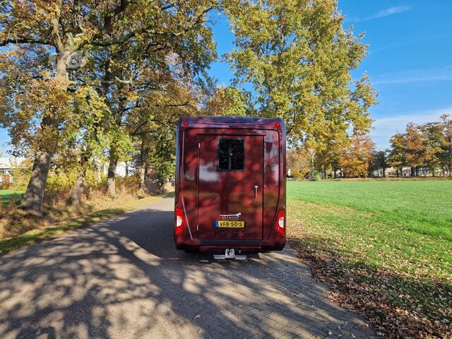 Horse transportation Opel Movano Occasion paardenwagen automaat 5 zitplaa...