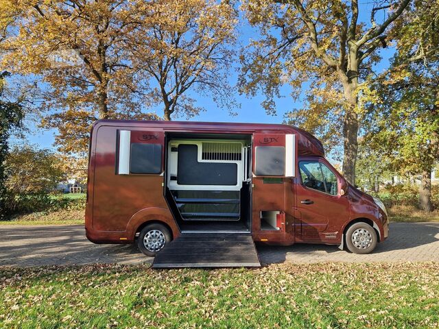 Horse transportation Opel Movano Occasion paardenwagen automaat 5 zitplaa...