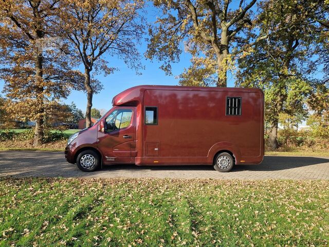 Horse transportation Opel Movano Occasion paardenwagen automaat 5 zitplaa...