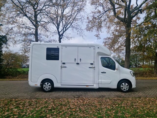 Transporte de cavalos Renault Master Occasion hengsten uitvoering paardenwage...