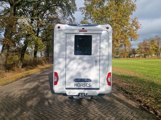 Transporte de cavalos Renault Master Occasion hengsten uitvoering paardenwage...