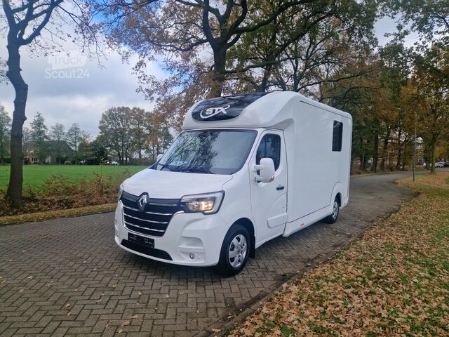 Transporte de cavalos Renault Master Occasion hengsten uitvoering paardenwage...