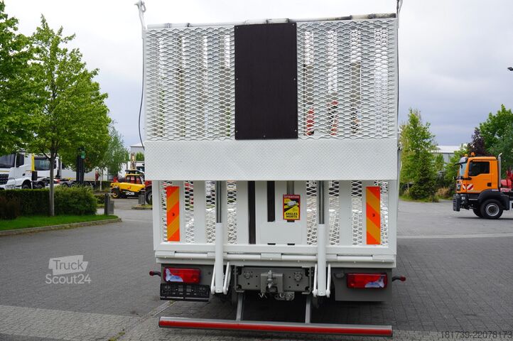 Plattform MAN MAN TGS 35.360 8×2 / HDS FASSI F165A.2.2