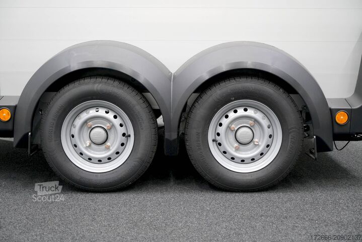 Remorque de transport de chevaux Ifor Williams HBX 506 | SCHWARZ+SATTELKAMMER +POLSTER + 3.BREMSLEUCHTE