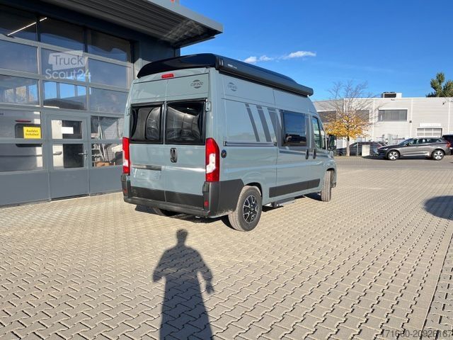 Euro Est Services + Euro Est Services + Euro Est Services +