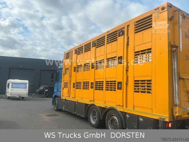 Camião para gado MERCEDES-BENZ Menke 3 Stock Tränke Lüfter