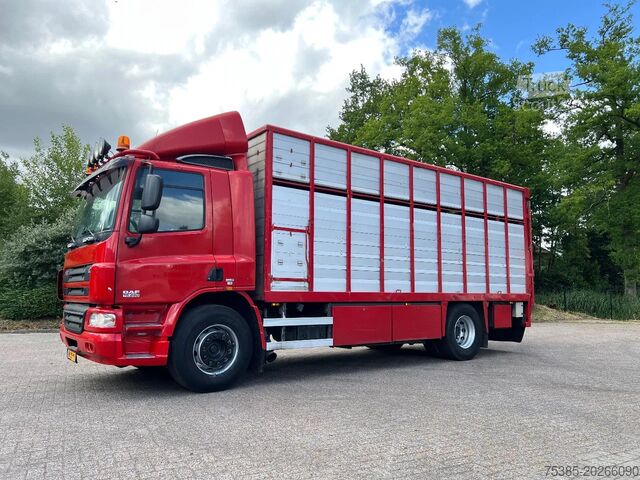 Veetransport DAF CF 75 Livestock veewagen 1/2 stock