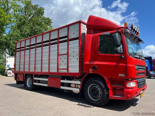 Veetransport DAF CF 75 Livestock veewagen 1/2 stock