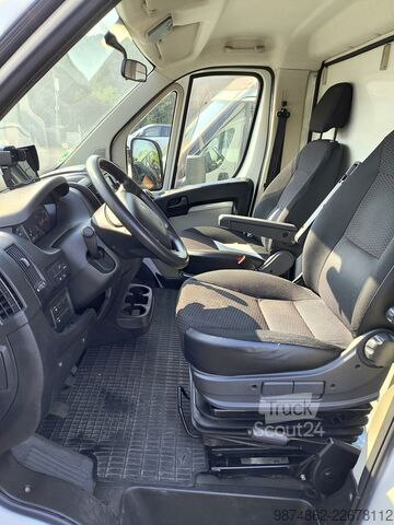 Φορτηγό μεταφοράς αλόγων Stablehopper Peugeot Boxer