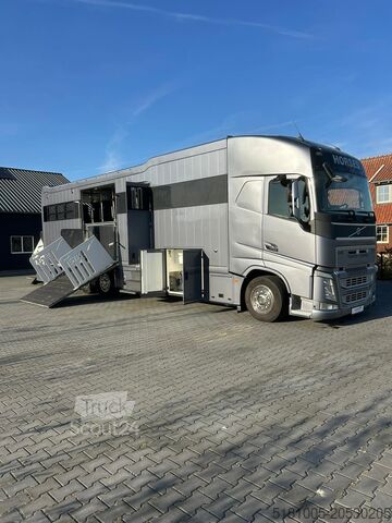 Žirgų transportas Volvo FH540 Occasion 9 paards paardenvrachtwagen met ...