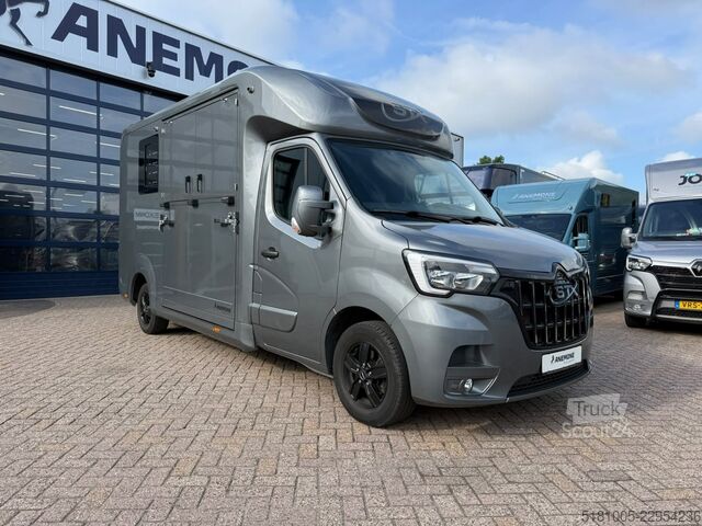  Renault Master Automaat Paardenwagen hengsten uitvoerin...
