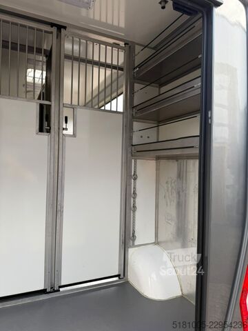  Renault Master Automaat Paardenwagen hengsten uitvoerin...