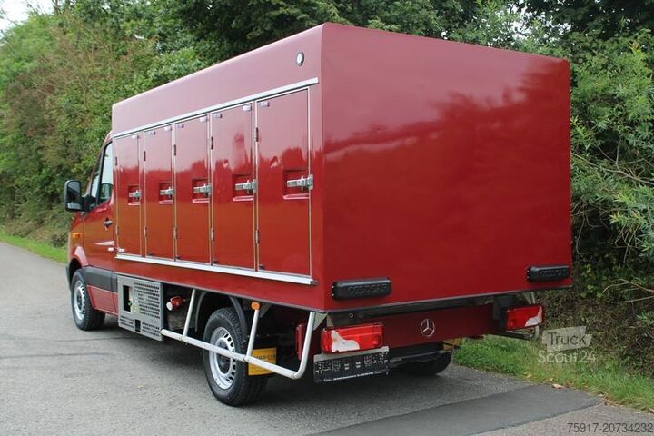 Furgon sa rashladnim sandukom MERCEDES-BENZ Sprinter 310 Cold Car -33°C ATP 02/28