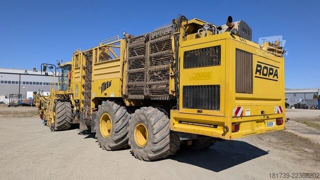 Céklatermesztő Ropa TIGER V8-3 beet harvester / 6000 MTH