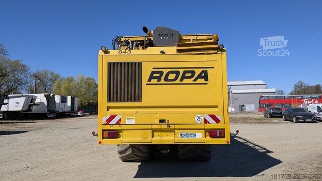 Céklatermesztő Ropa TIGER V8-3 beet harvester / 6000 MTH