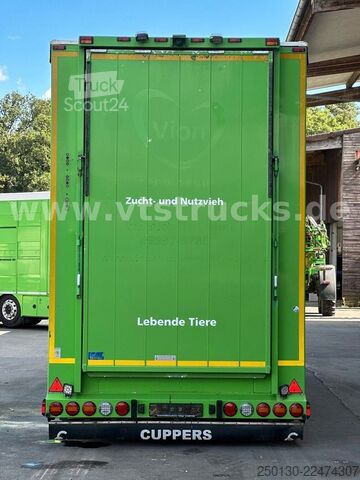Remorcă pentru transport cai  Cuppers LVA 09-16 AL 3-Stock Viehanhänger,