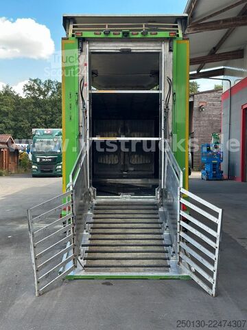 Remorcă pentru transport cai  Cuppers LVA 09-16 AL 3-Stock Viehanhänger,