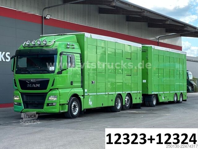 Camion pentru transport bovine MAN TGX 26.440 6x2 3.Stock Cuppers Komplett-Zug