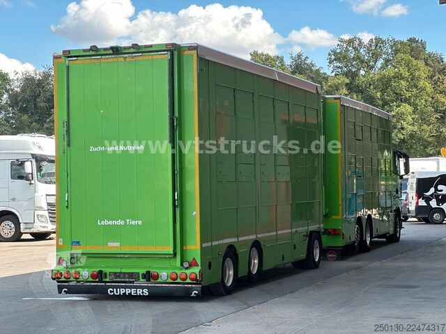 Camion pentru transport bovine MAN TGX 26.440 6x2 3.Stock Cuppers Komplett-Zug