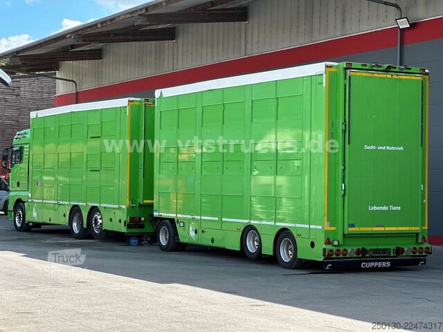 Camion pentru transport bovine MAN TGX 26.440 6x2 3.Stock Cuppers Komplett-Zug