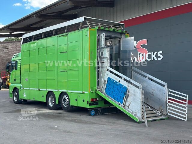 Camion pentru transport bovine MAN TGX 26.440 6x2 3.Stock Cuppers Komplett-Zug