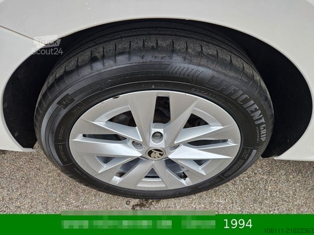 Minibus SKODA Octavia Combi Style 2,0TDi wenkbar