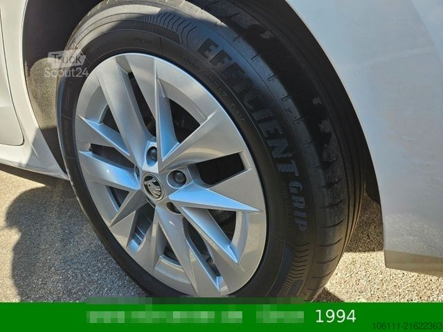 Microbuz SKODA Octavia Combi Style 2,0TDi wenkbar