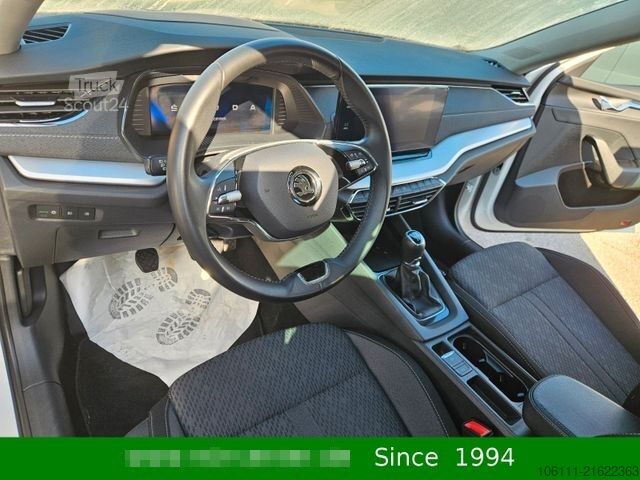 Microbuz SKODA Octavia Combi Style 2,0TDi wenkbar