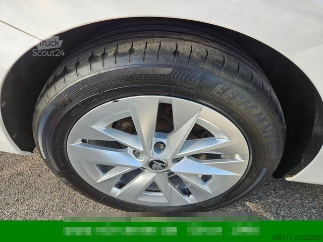 Microbuz SKODA Octavia Combi Style 2,0TDi wenkbar