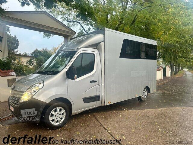 Μεταφορέας ζώων Renault Master 1-2 Pferde Automatik Hengsttrennung