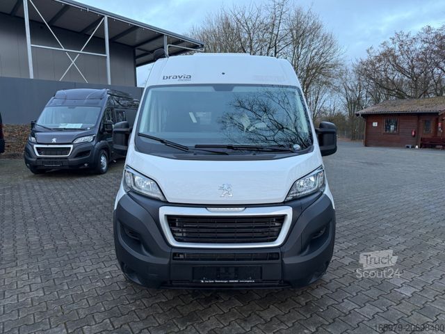 Kastenwagen Wohnmobil / Campervan  BRAVIA