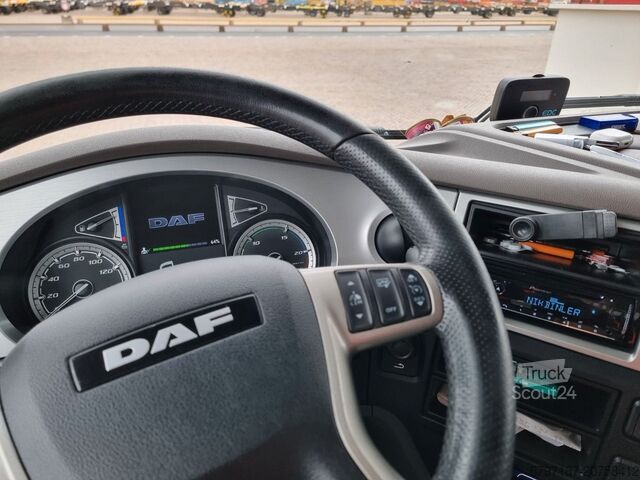 Standart traktör Daf Xf480 SSC