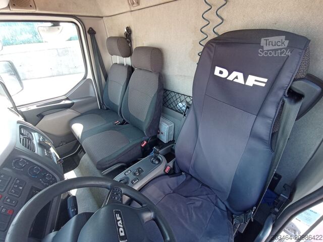 Gru montata su autocarro DAF LF 18T LF 320 CV con gru EFFER