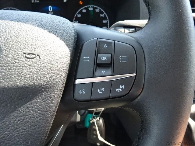 Minibus FORD Transit 350L3H2 Trend 2xKlima WiPa Lift KMP BTW