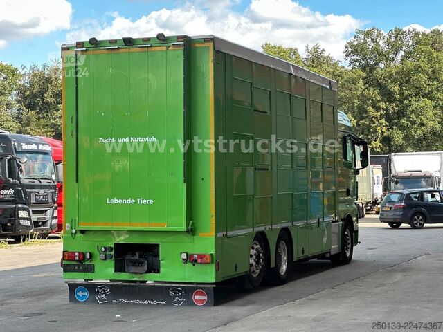 Camion pentru transport bovine MAN TGX 26.440 6x2 3.Stock Cuppers, Lenk-/Lift