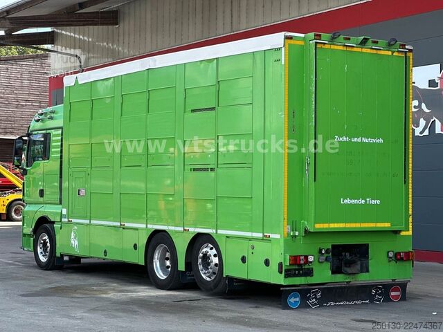 Camion pentru transport bovine MAN TGX 26.440 6x2 3.Stock Cuppers, Lenk-/Lift
