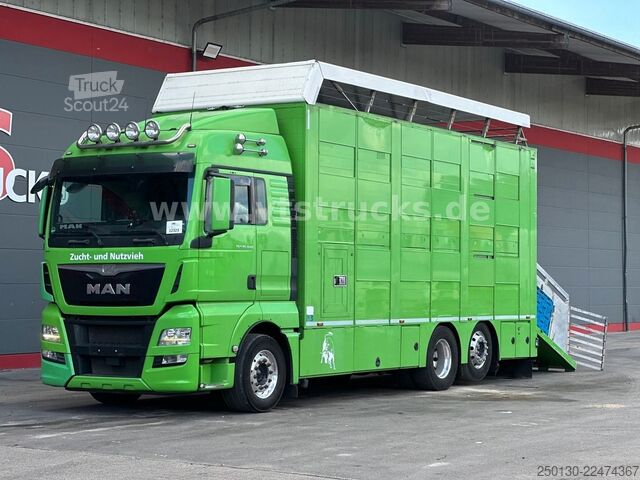 Camion pentru transport bovine MAN TGX 26.440 6x2 3.Stock Cuppers, Lenk-/Lift