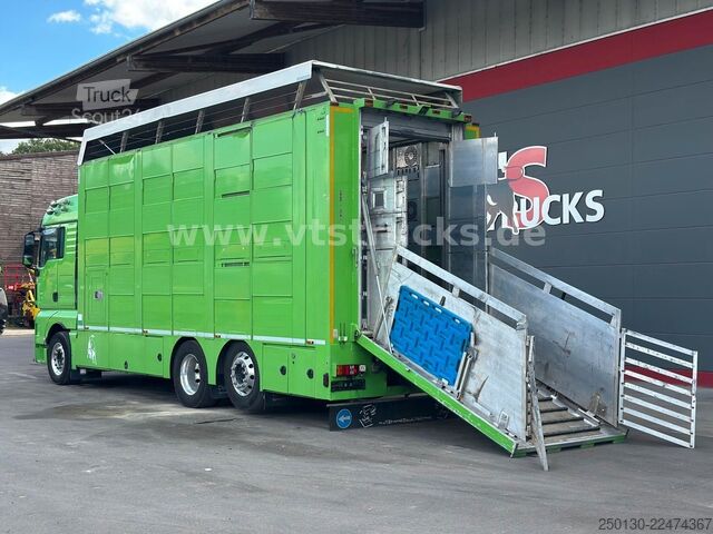 Camion pentru transport bovine MAN TGX 26.440 6x2 3.Stock Cuppers, Lenk-/Lift