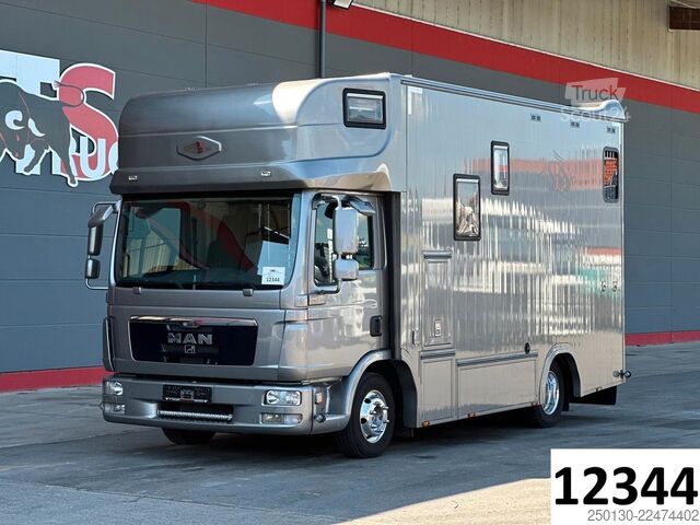 Transportor de animale MAN TGL 8.180 4x2 BL EEV ANEMONE für 3  Sportpferde