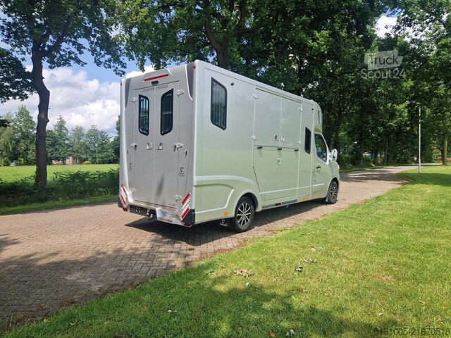 Prevoz konj Renault Master Theault S5L paardenwagen Pro-Safety heng...
