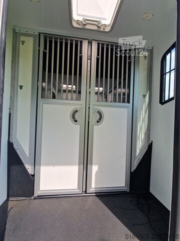 Prevoz konj Renault Master Theault S5L paardenwagen Pro-Safety heng...