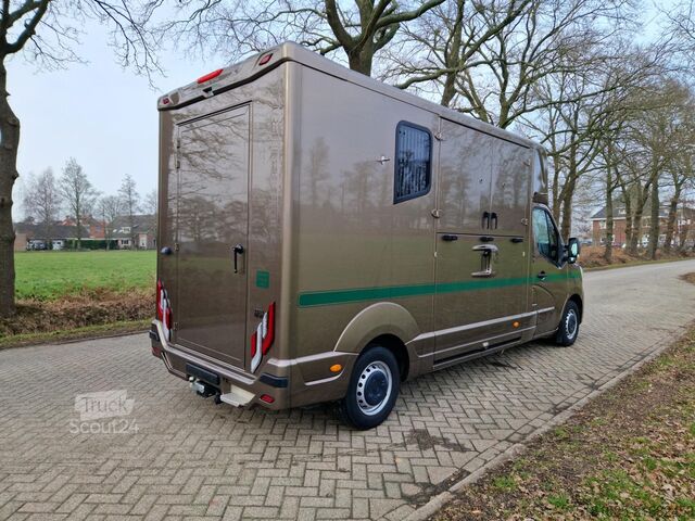 Horse transportation Renault Master MTM S3 paardenwagen Pro-Safety uitvoerin...