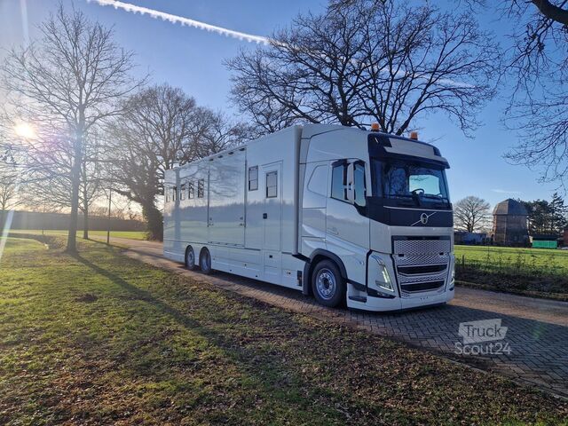 Žirgų transportas Volvo FH Middle East Specs Volvo FH 420 9 paarden, mi...