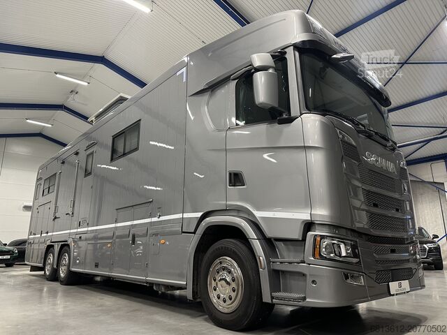 Liellopu pārvadāšanas kravas automobilis SCANIA Stephex STX S500 Horsetruck / Pop X2 /