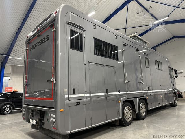 Liellopu pārvadāšanas kravas automobilis SCANIA Stephex STX S500 Horsetruck / Pop X2 /