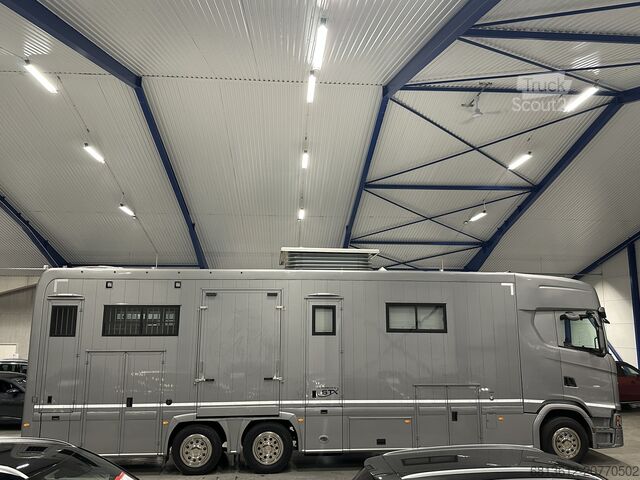 Liellopu pārvadāšanas kravas automobilis SCANIA Stephex STX S500 Horsetruck / Pop X2 /