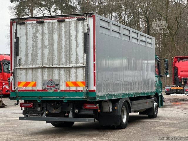 Viehtransporter LKW MERCEDES-BENZ Atego 1230L 4x2 1.Stock Viehtrasporter